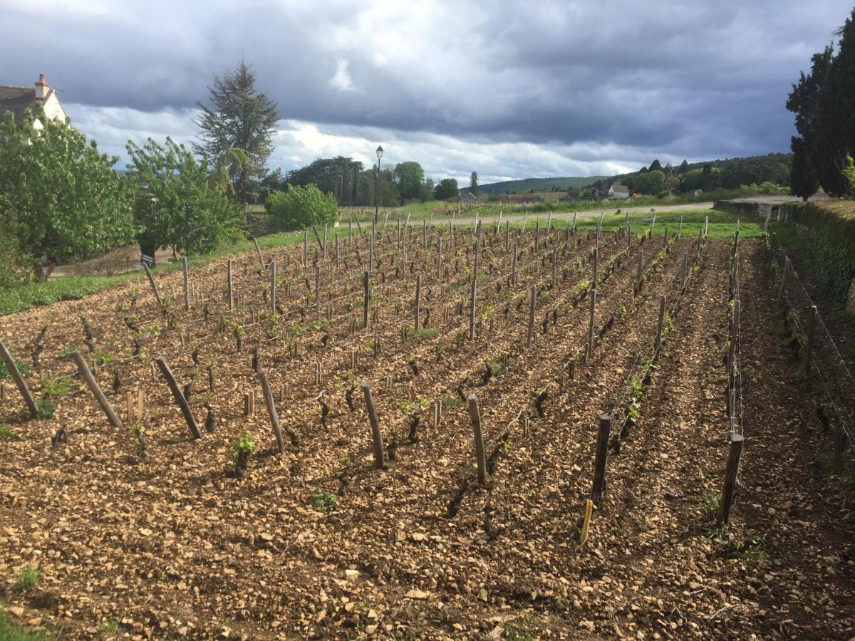 Les Hauts de Fixin, 50m2 avec extérieur sur la Route des Grands Crus, Dijon Sud Exterior foto